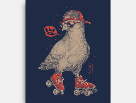 Stay Coo