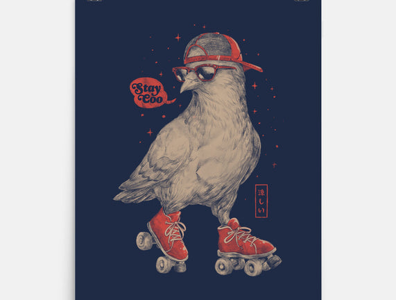 Stay Coo