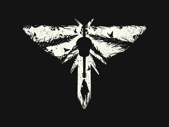 Look For The Light 2