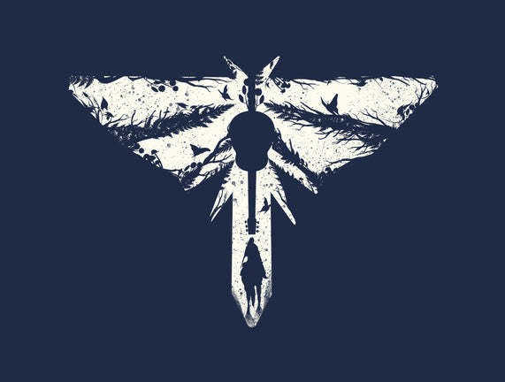 Look For The Light 2