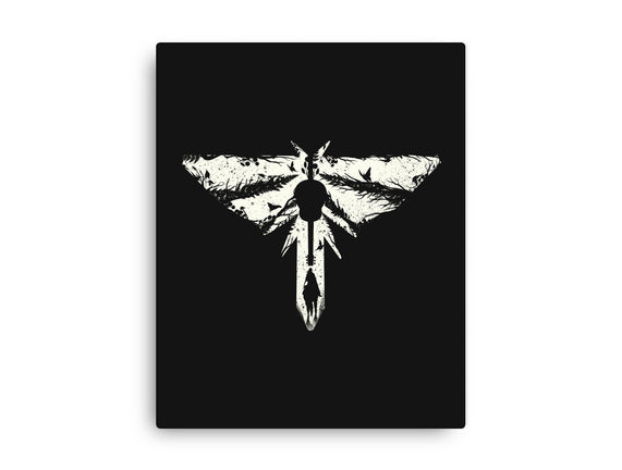 Look For The Light 2