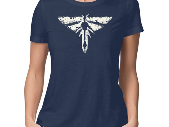 Look For The Light 2