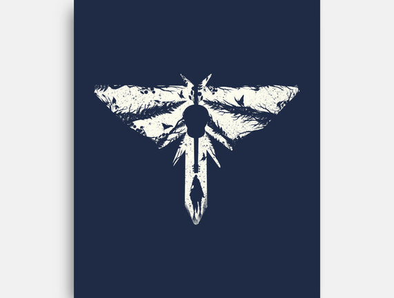 Look For The Light 2