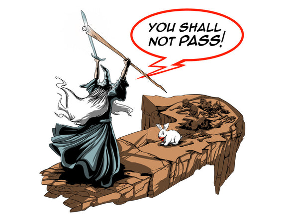 You Shall Not Pass Rabbit