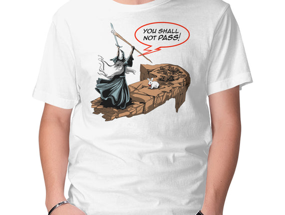 You Shall Not Pass Rabbit