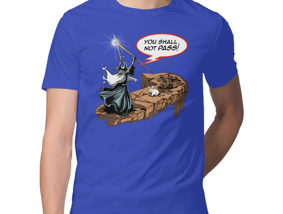 You Shall Not Pass Rabbit