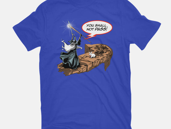You Shall Not Pass Rabbit