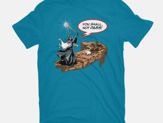 You Shall Not Pass Rabbit