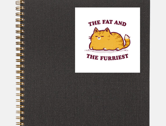 The Fat And The Furriest