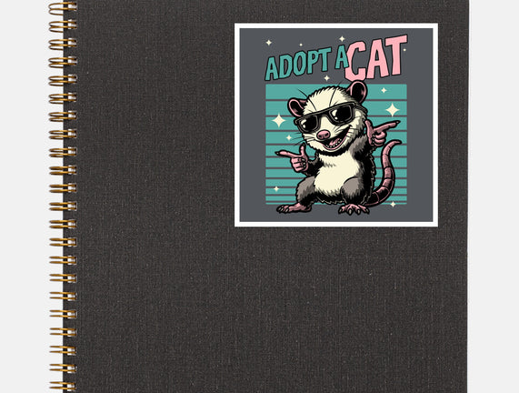 Possum Adopt A Cat