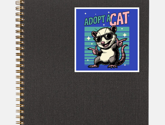 Possum Adopt A Cat