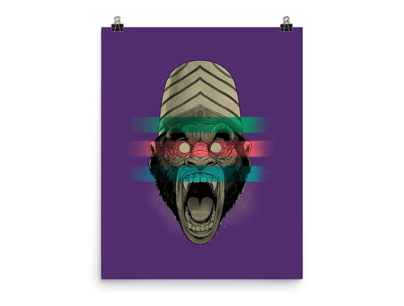 Primate Fury