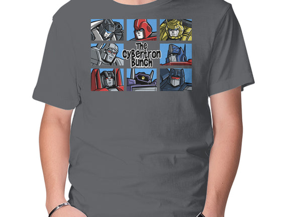 The Transformers Bunch