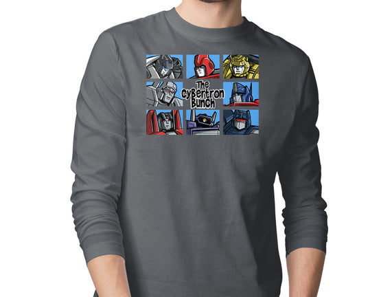 The Transformers Bunch