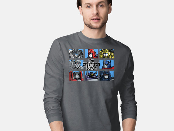 The Transformers Bunch