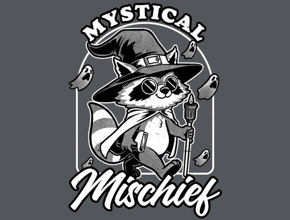 Wizard Magical Raccoon
