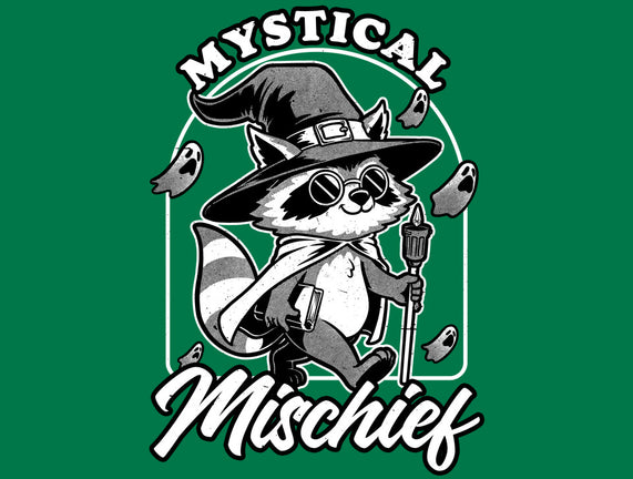 Wizard Magical Raccoon