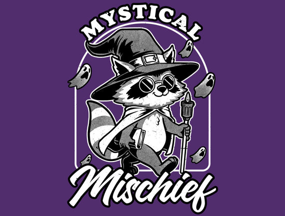 Wizard Magical Raccoon
