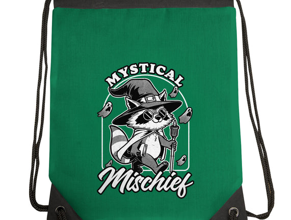 Wizard Magical Raccoon