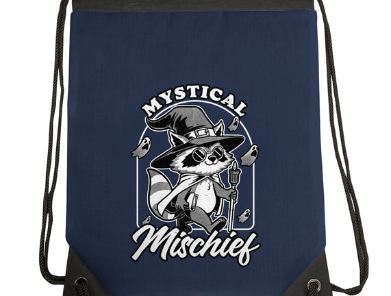Wizard Magical Raccoon