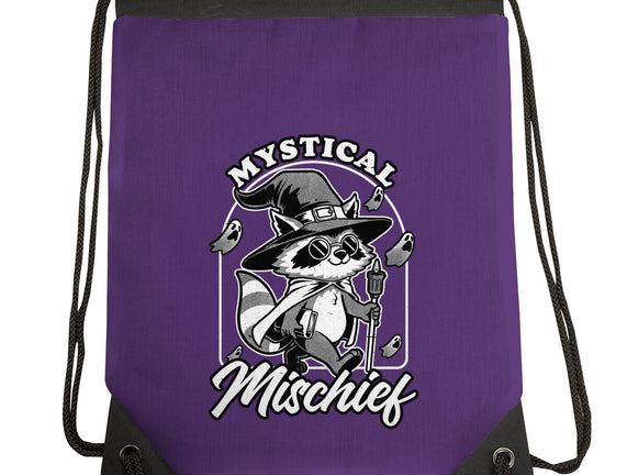 Wizard Magical Raccoon