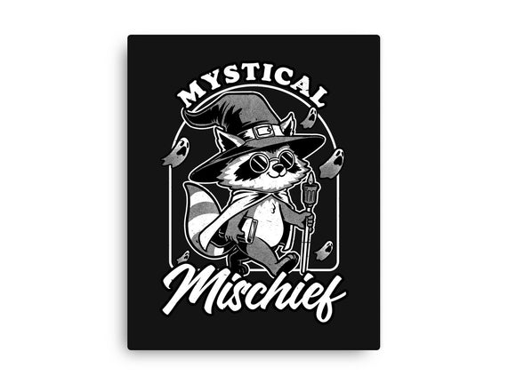 Wizard Magical Raccoon