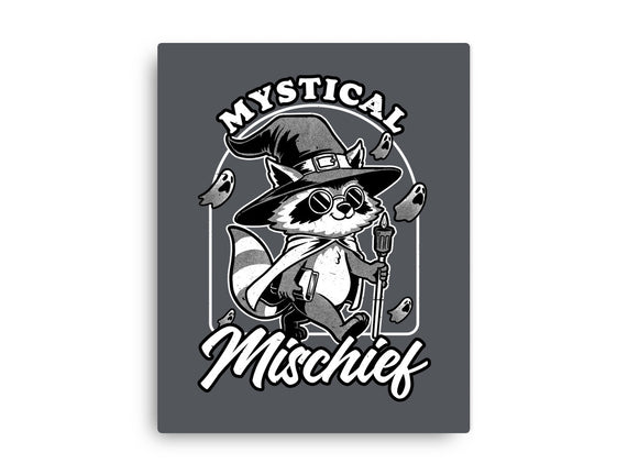 Wizard Magical Raccoon