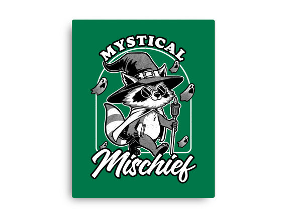 Wizard Magical Raccoon
