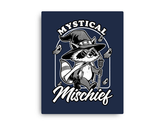 Wizard Magical Raccoon
