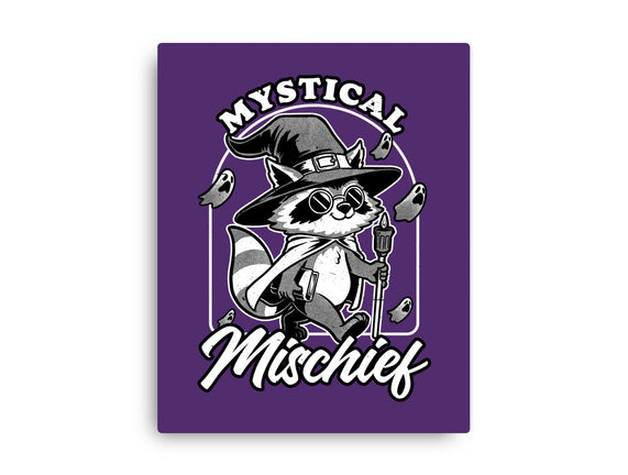 Wizard Magical Raccoon