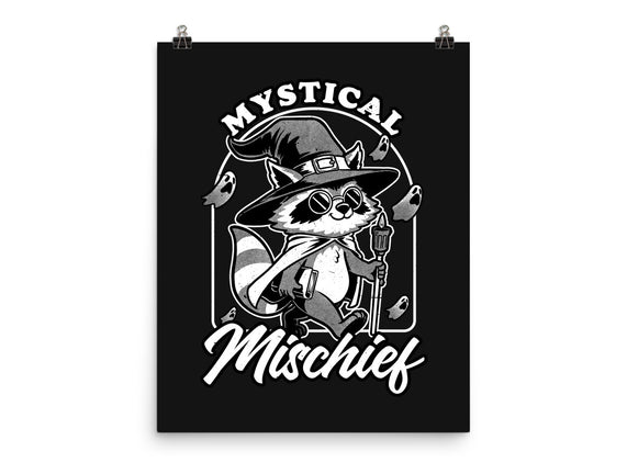 Wizard Magical Raccoon