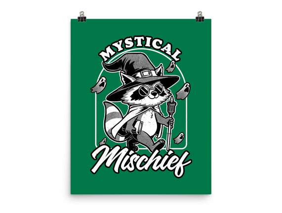Wizard Magical Raccoon