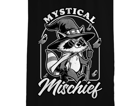 Wizard Magical Raccoon