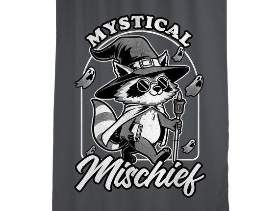 Wizard Magical Raccoon