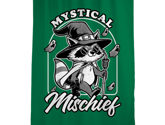 Wizard Magical Raccoon
