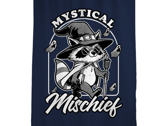 Wizard Magical Raccoon