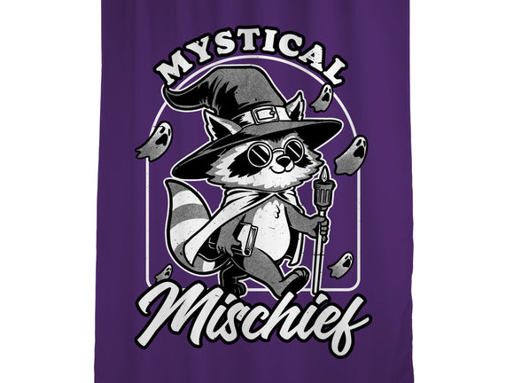 Wizard Magical Raccoon