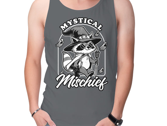 Wizard Magical Raccoon