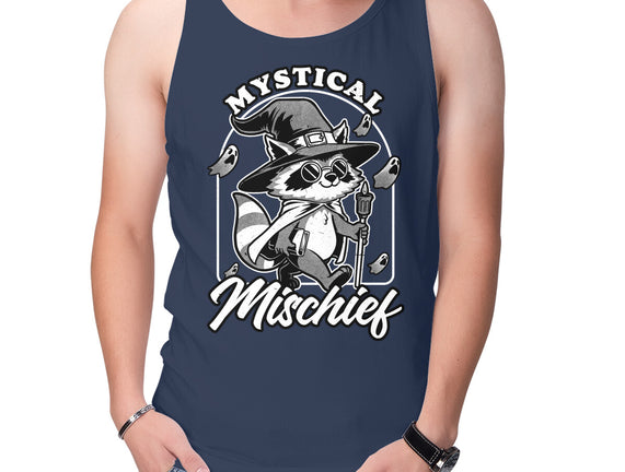 Wizard Magical Raccoon