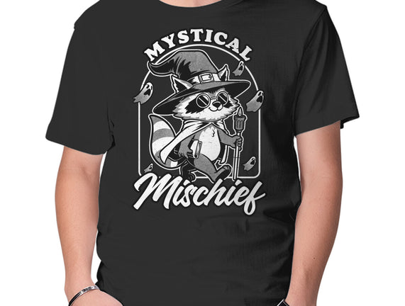 Wizard Magical Raccoon
