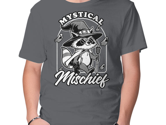 Wizard Magical Raccoon