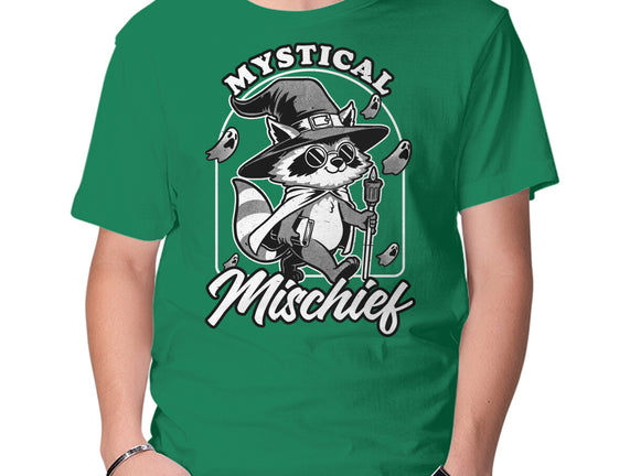 Wizard Magical Raccoon