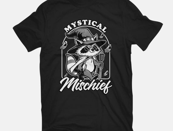 Wizard Magical Raccoon