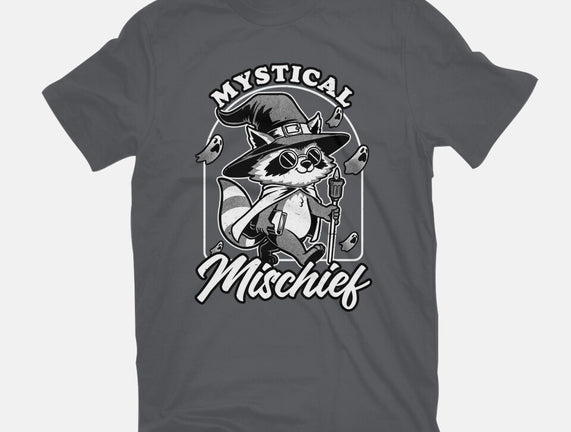 Wizard Magical Raccoon