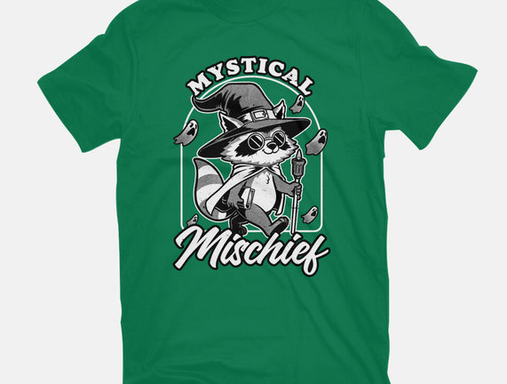 Wizard Magical Raccoon