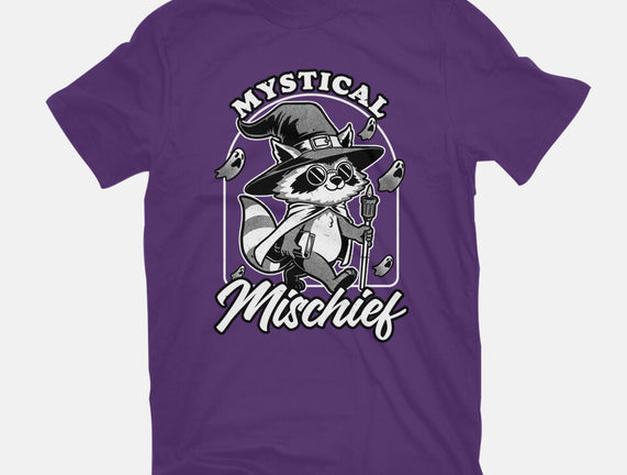 Wizard Magical Raccoon