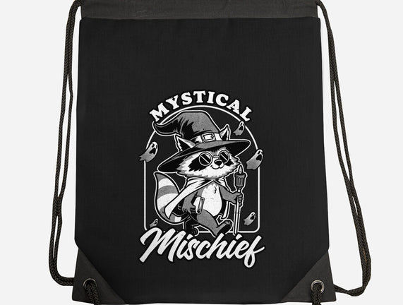 Wizard Magical Raccoon