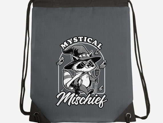 Wizard Magical Raccoon