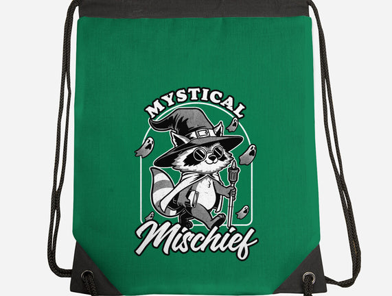 Wizard Magical Raccoon