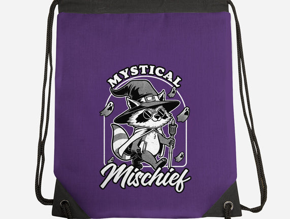 Wizard Magical Raccoon
